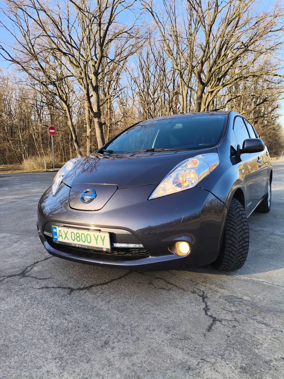 Nissan Leaf - фото 2