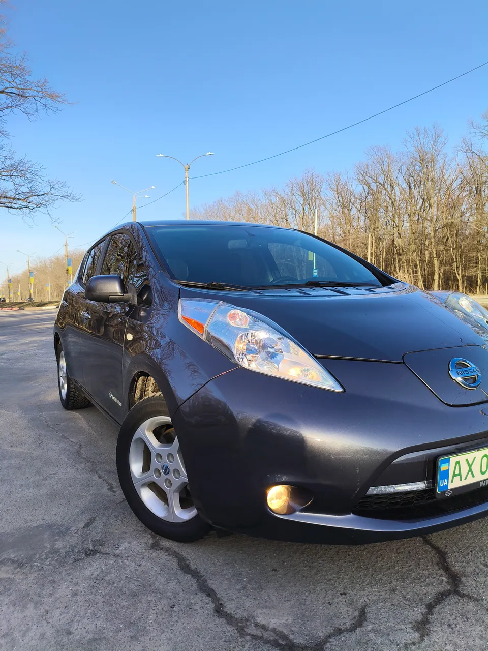 Nissan Leaf - фото 1