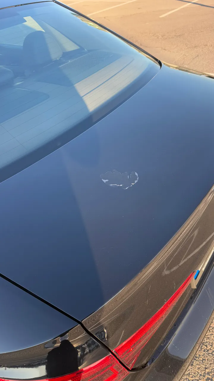 Audi A4 - фото 23