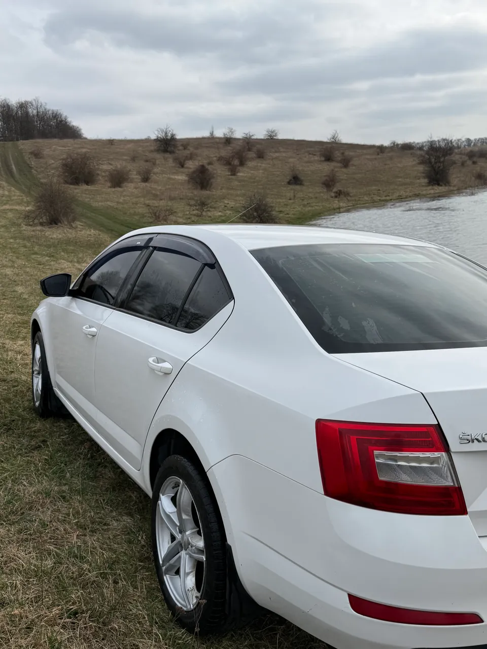 Skoda Octavia - фото 7