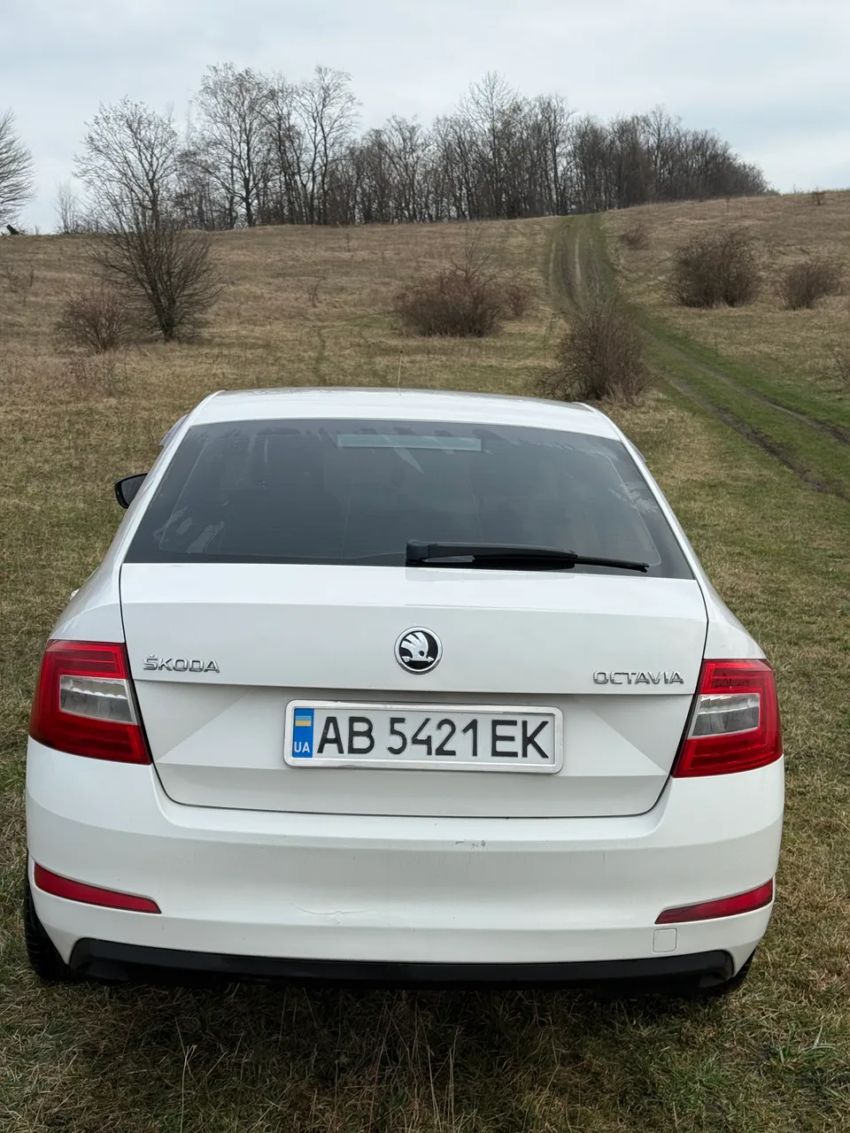 Skoda Octavia - фото 6