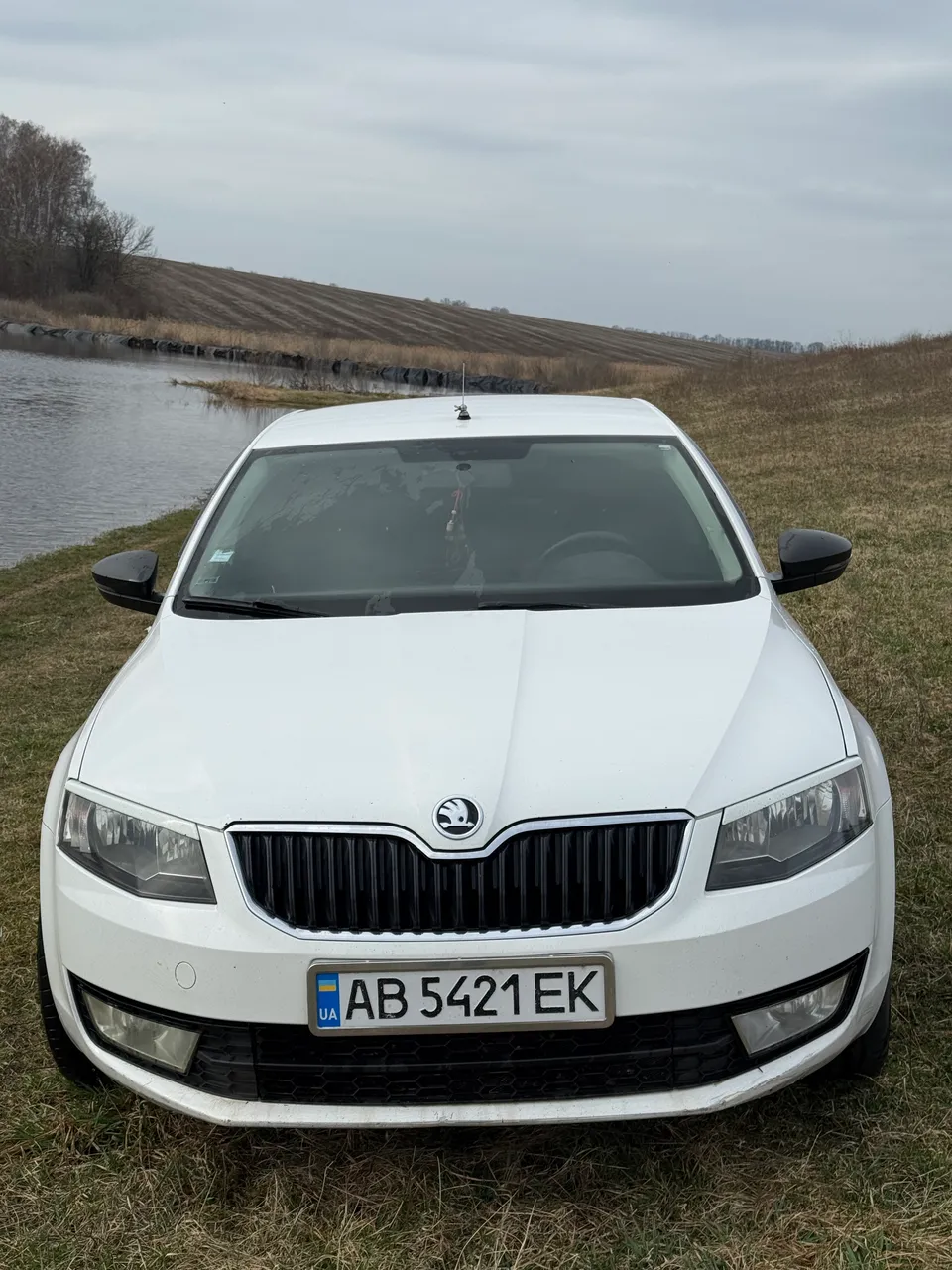 Skoda Octavia - фото 2
