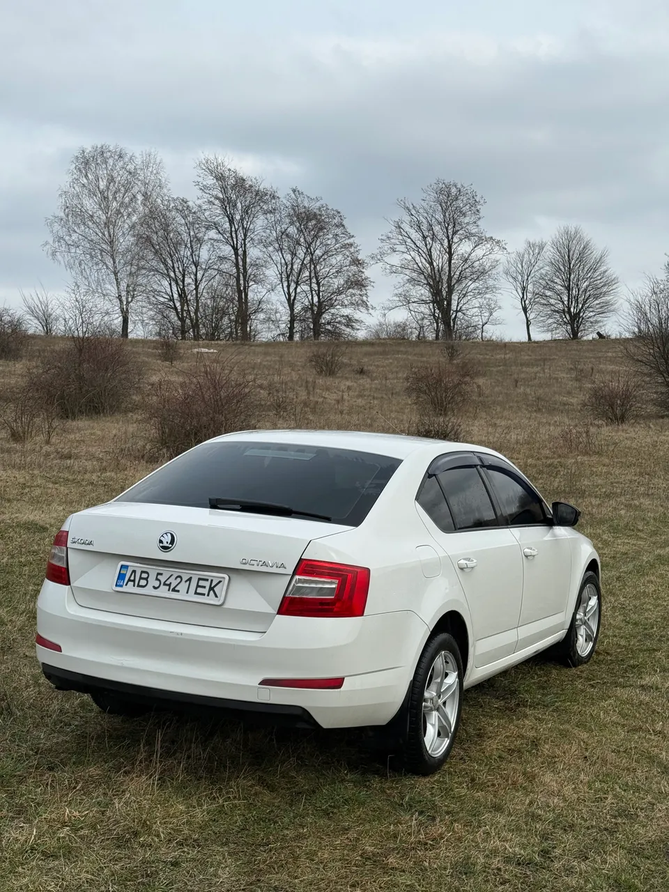 Skoda Octavia - фото 5