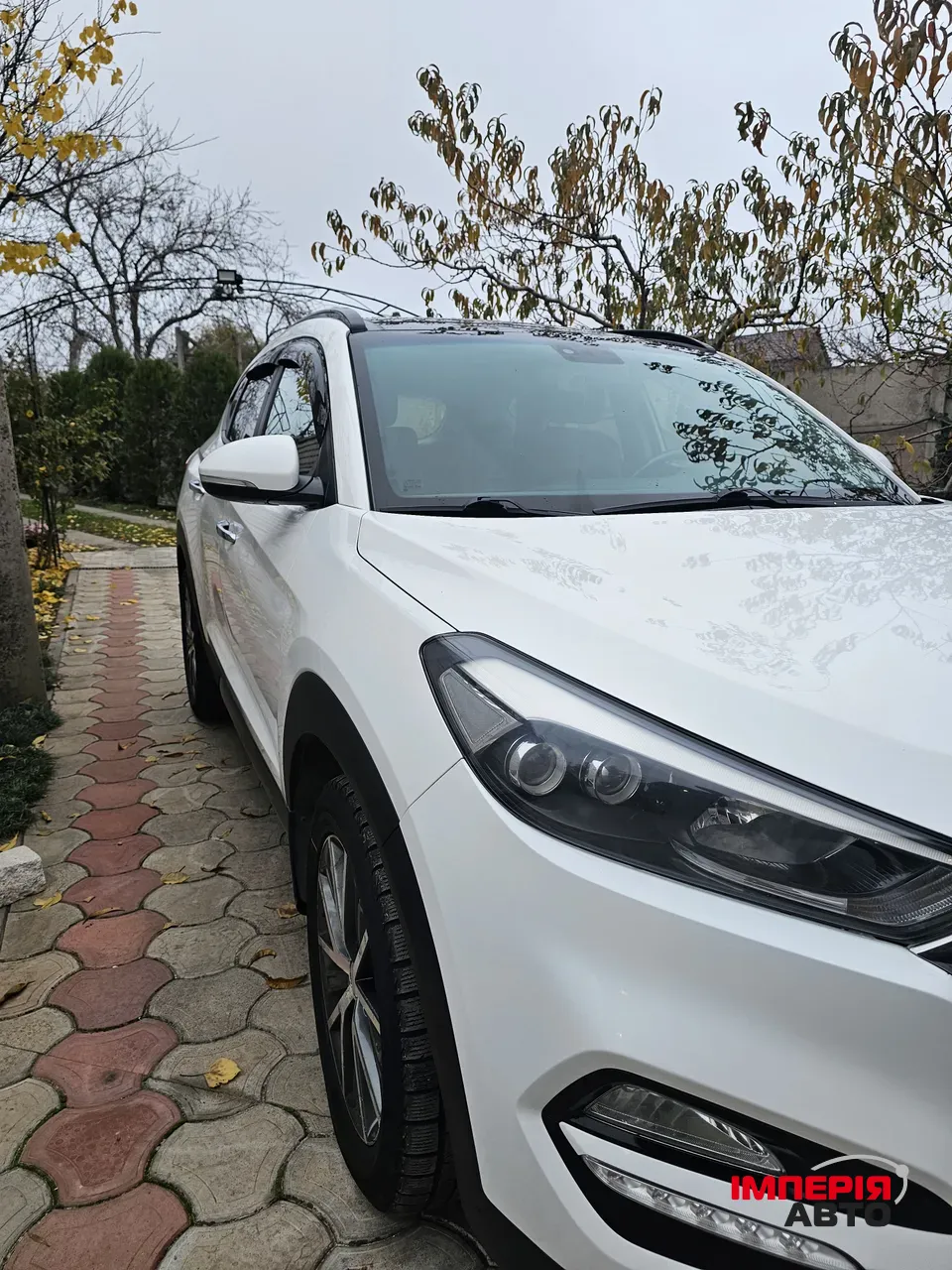 Hyundai Tucson - фото 6