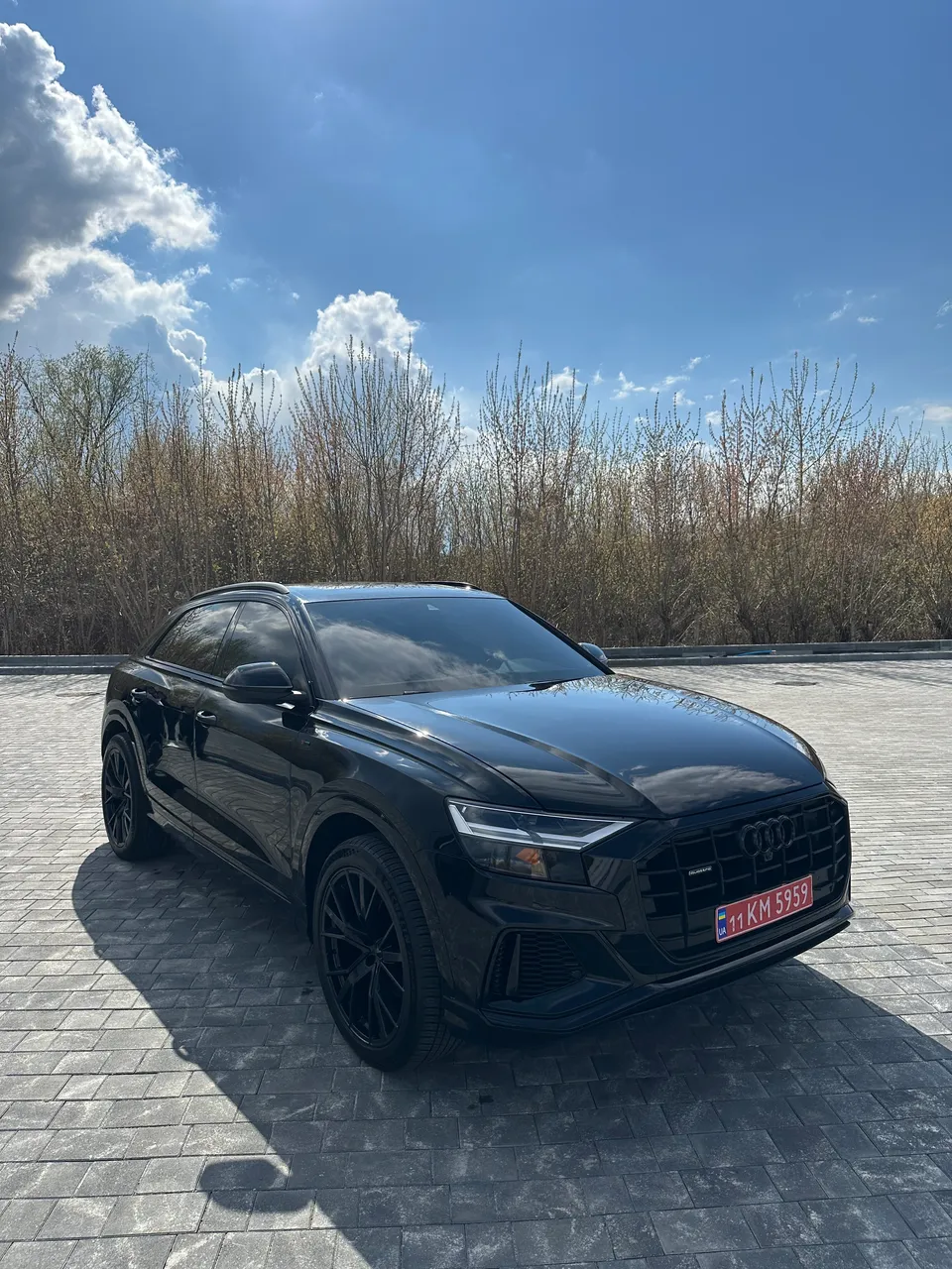 Audi Q8 - фото 1