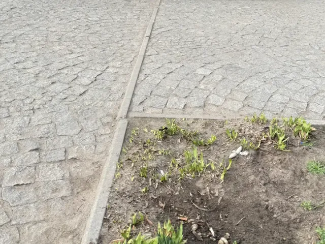 Volkswagen Passat - фото 5