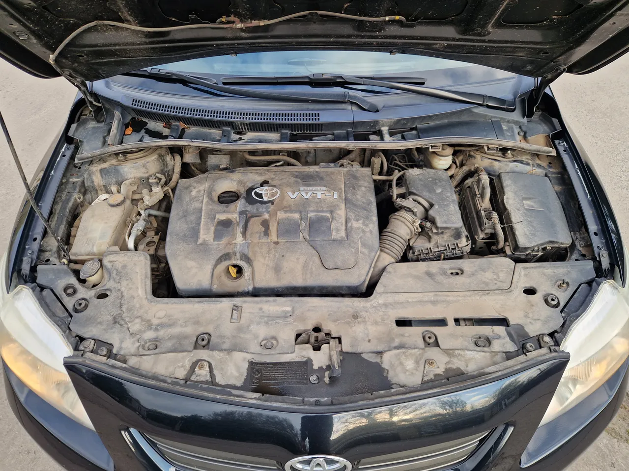 Toyota Corolla - фото 25