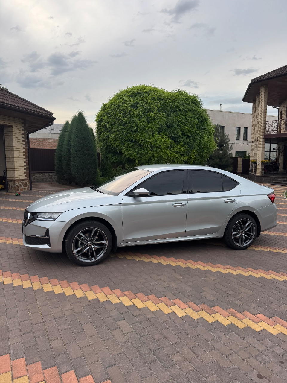 Skoda Octavia - фото 5