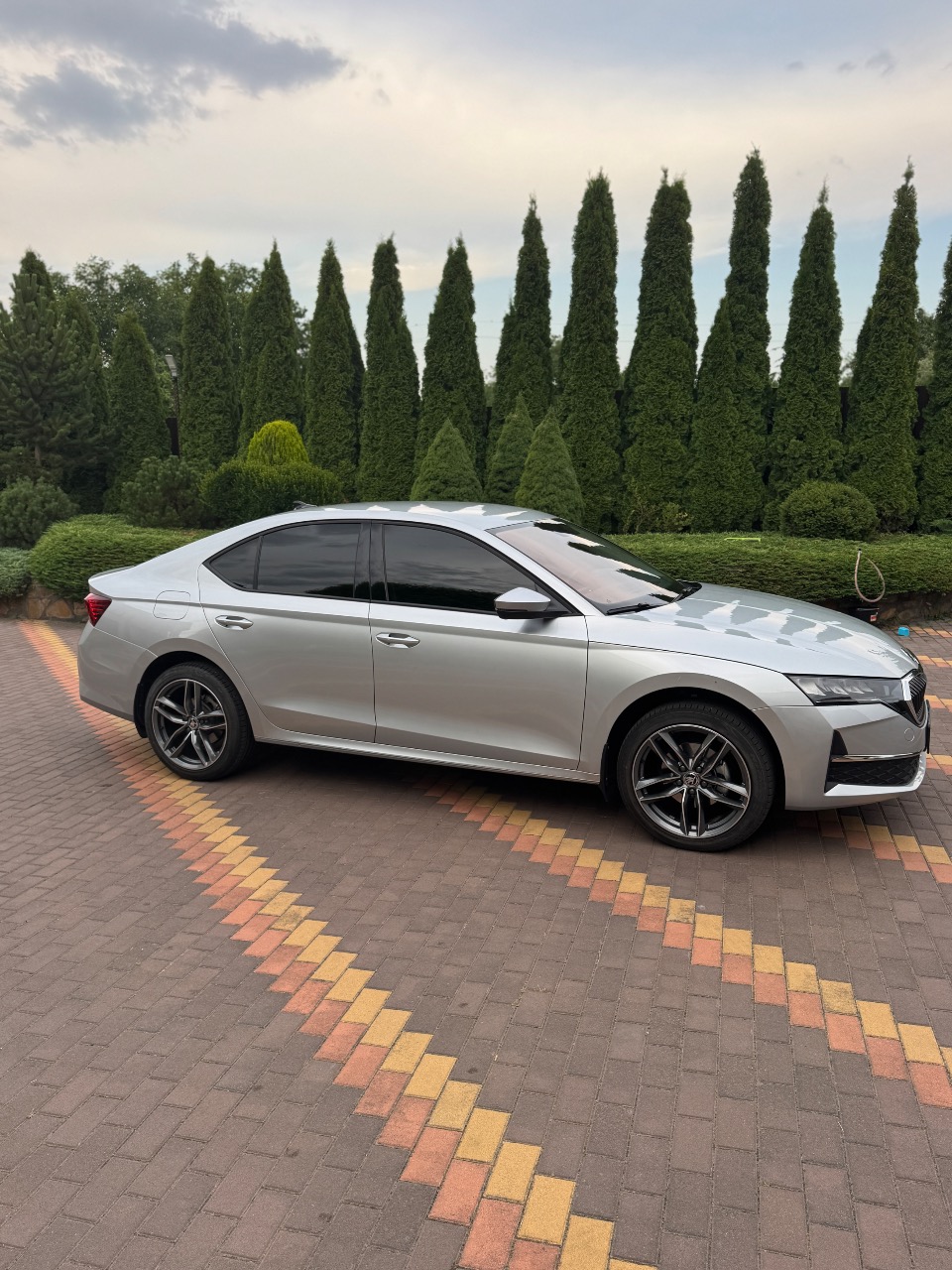 Skoda Octavia - фото 1