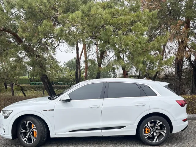 Audi e-tron - фото 3