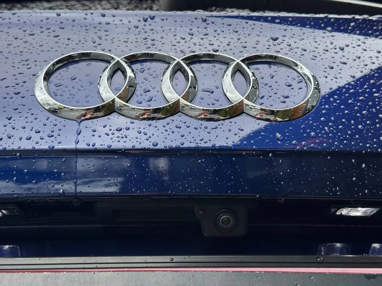 Audi Q5 - фото 13