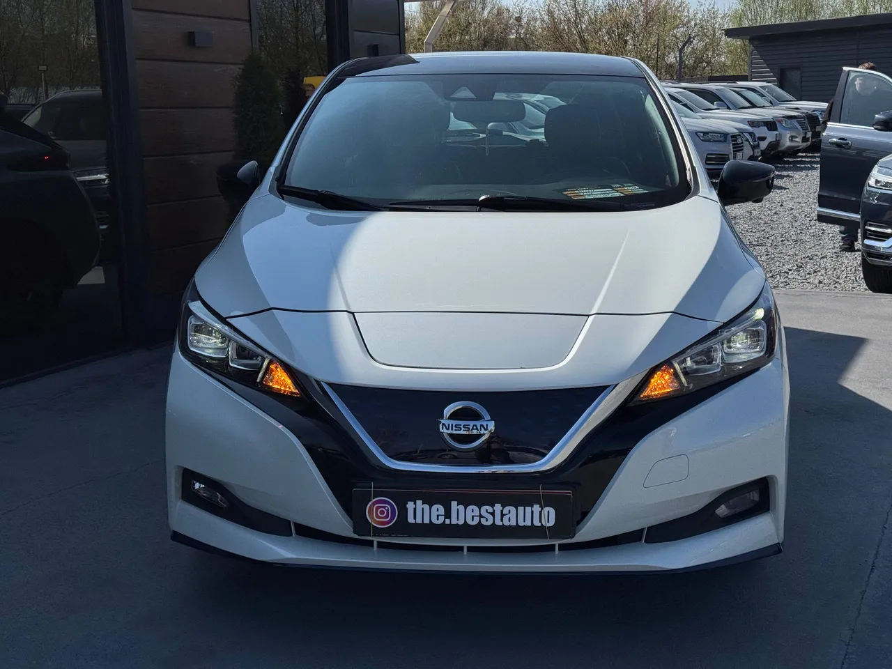 Nissan Leaf - фото 11
