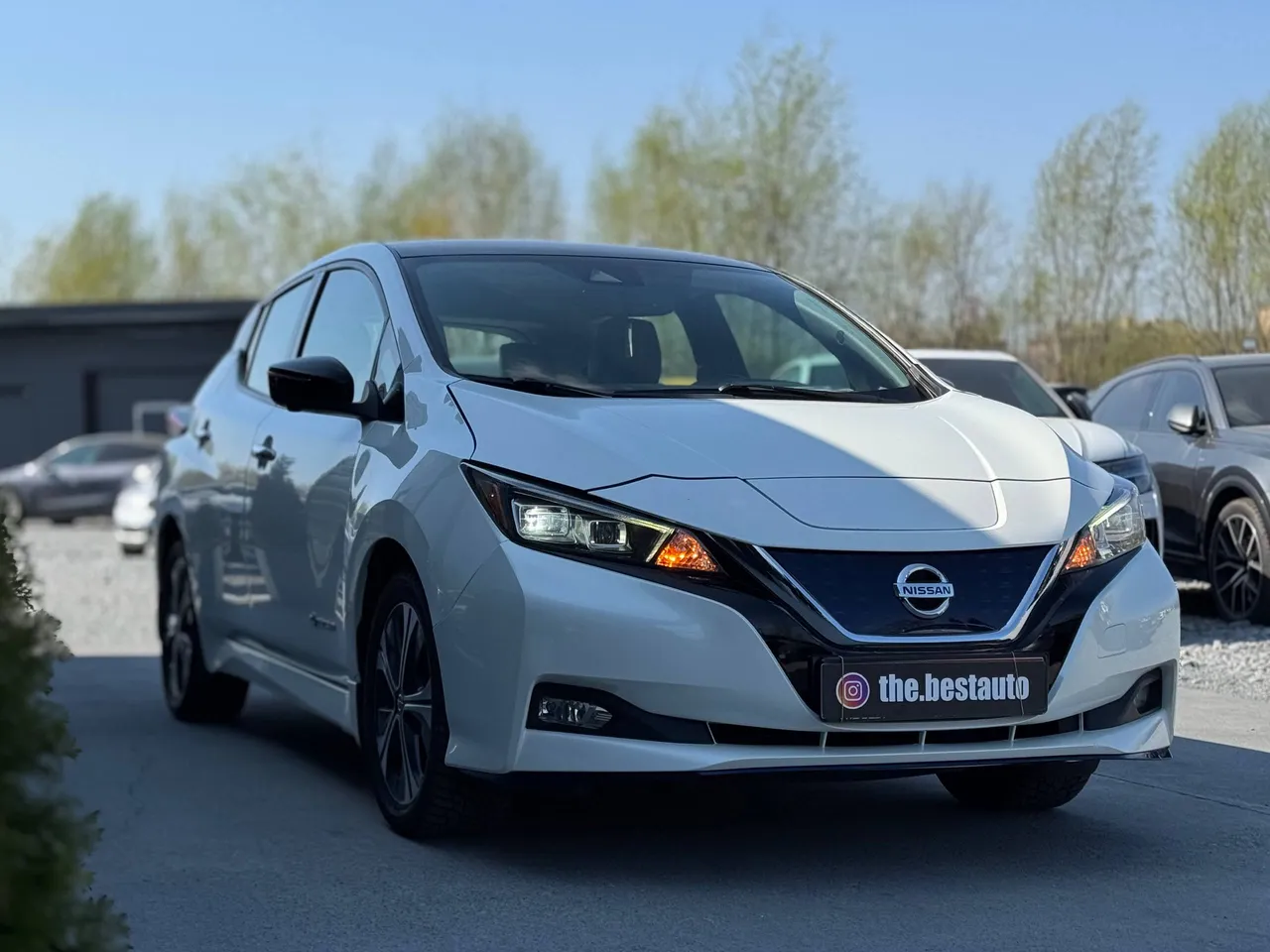 Nissan Leaf - фото 13