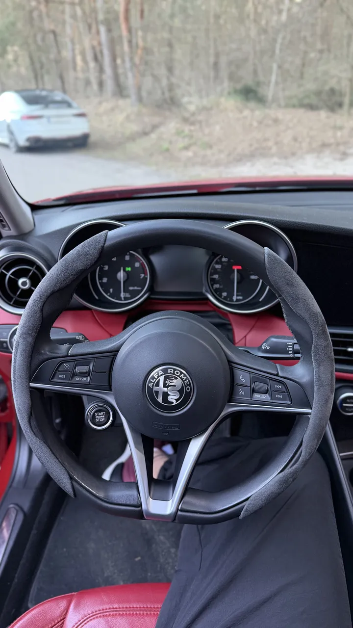 Alfa Romeo Giulia - фото 16