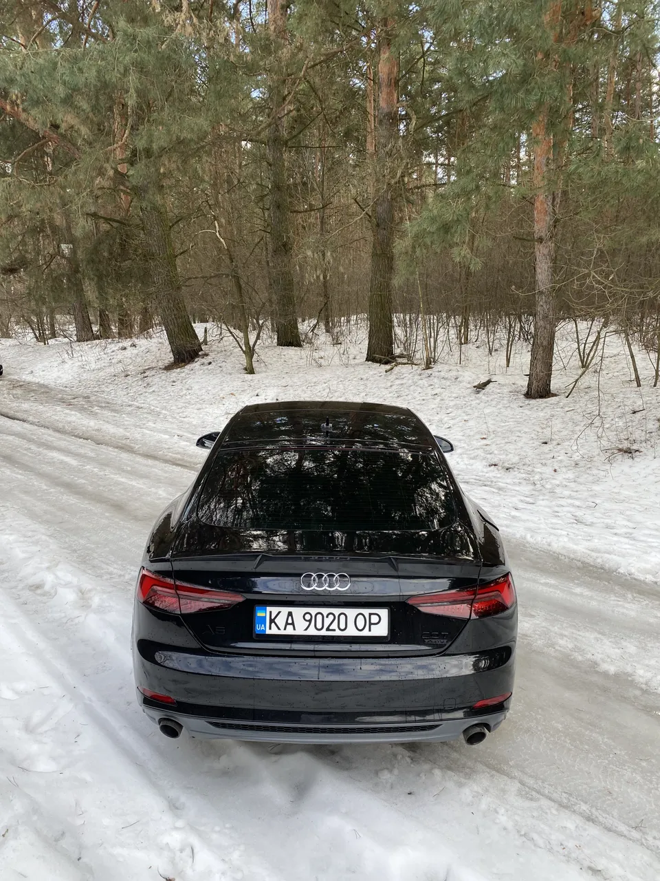 Audi A5 - фото 6