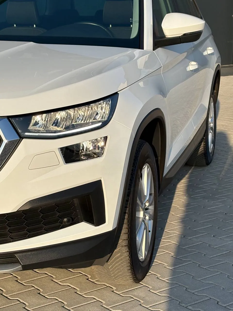 Skoda Kodiaq - фото 25