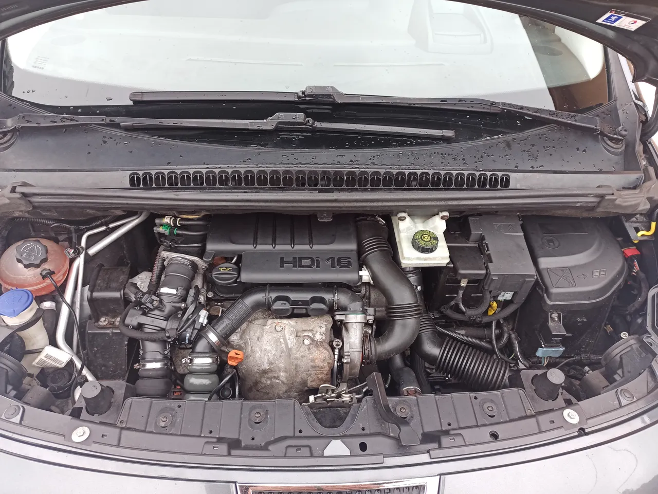 Peugeot 3008 - фото 4