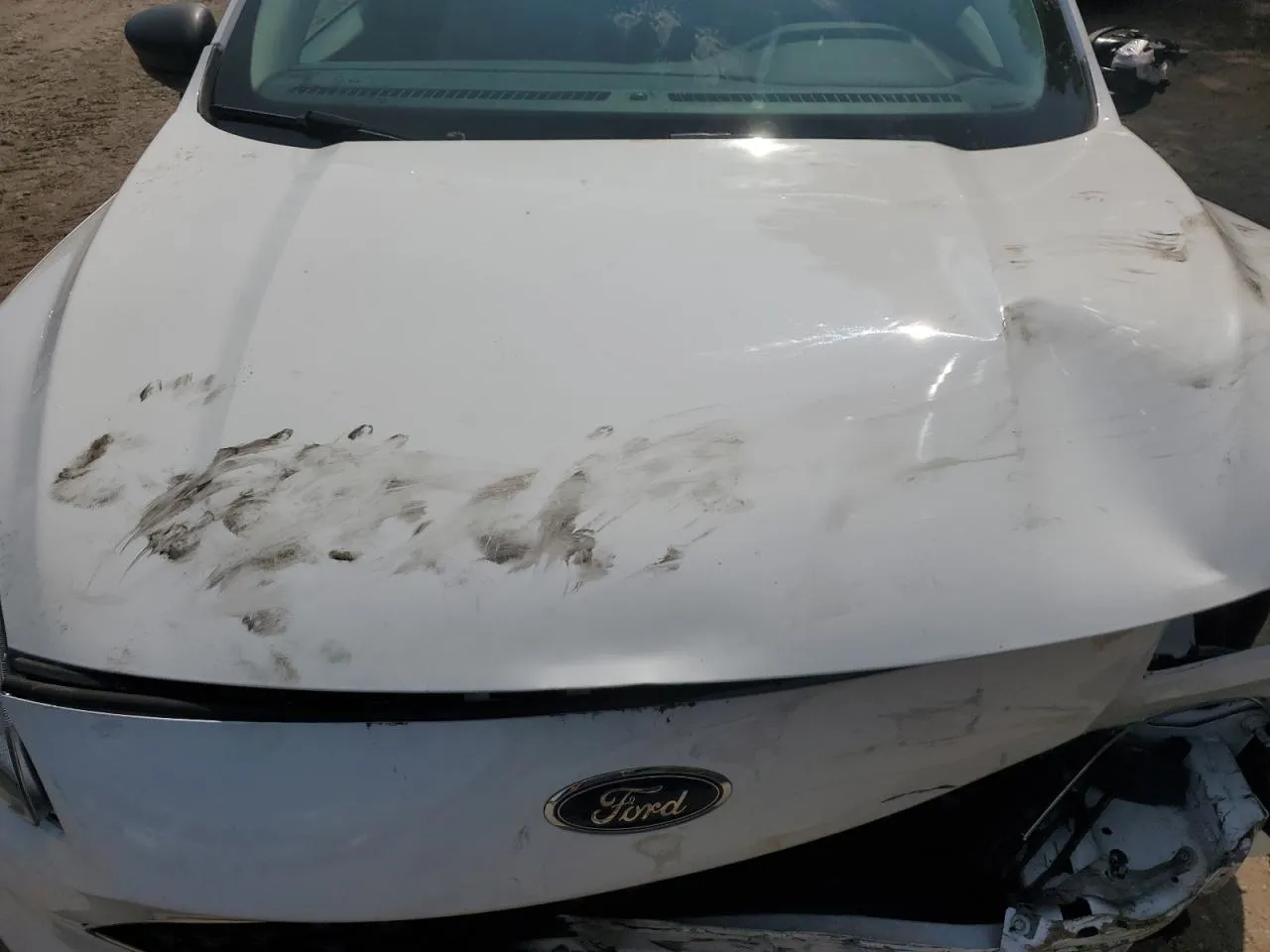 Ford Escape - фото 11