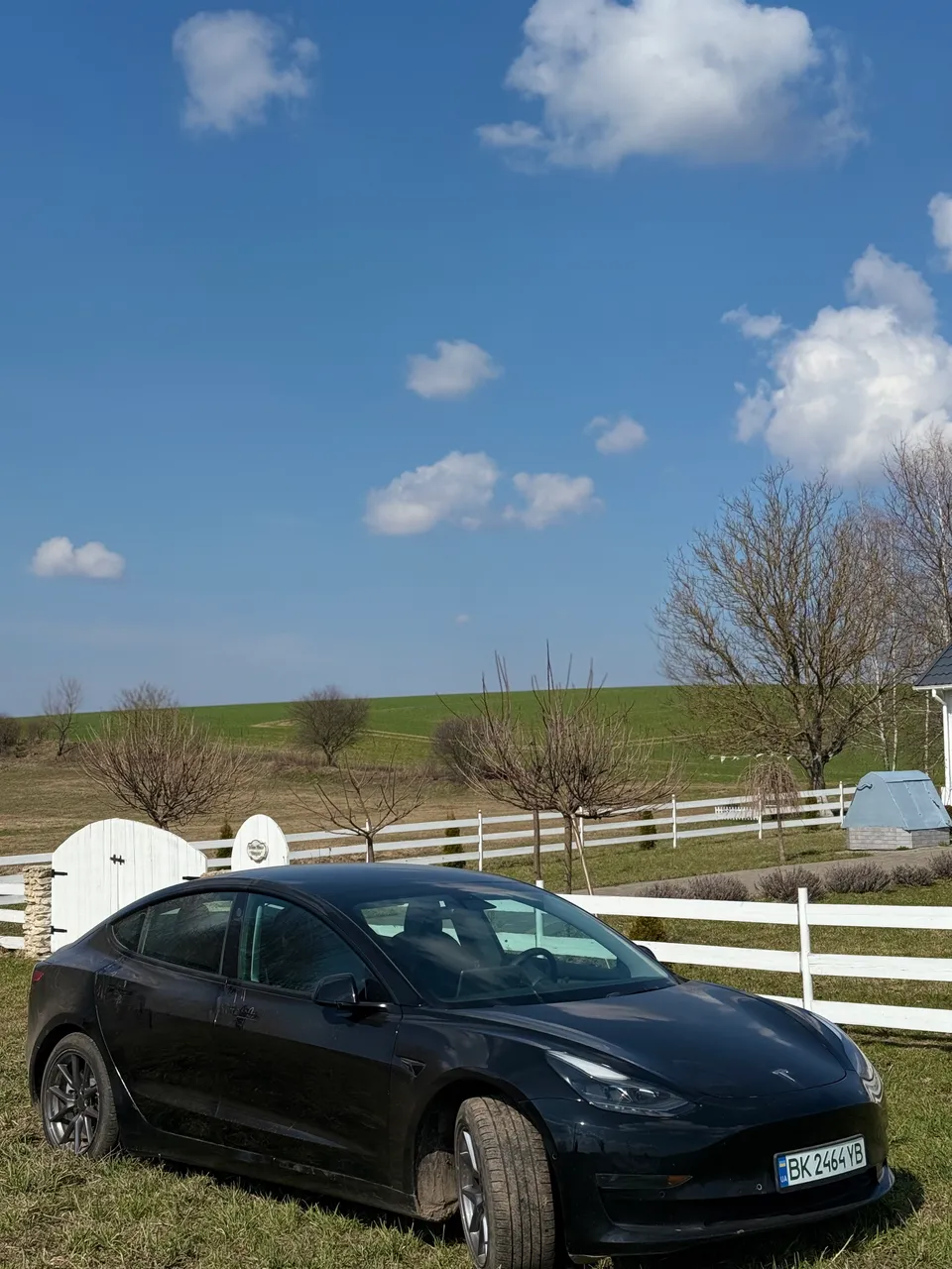 Tesla Model 3 - фото 2