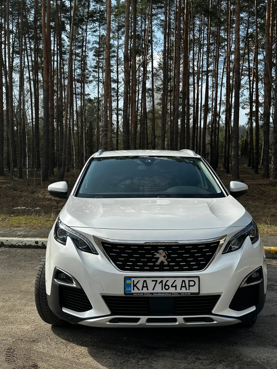 Peugeot 3008 - фото 1