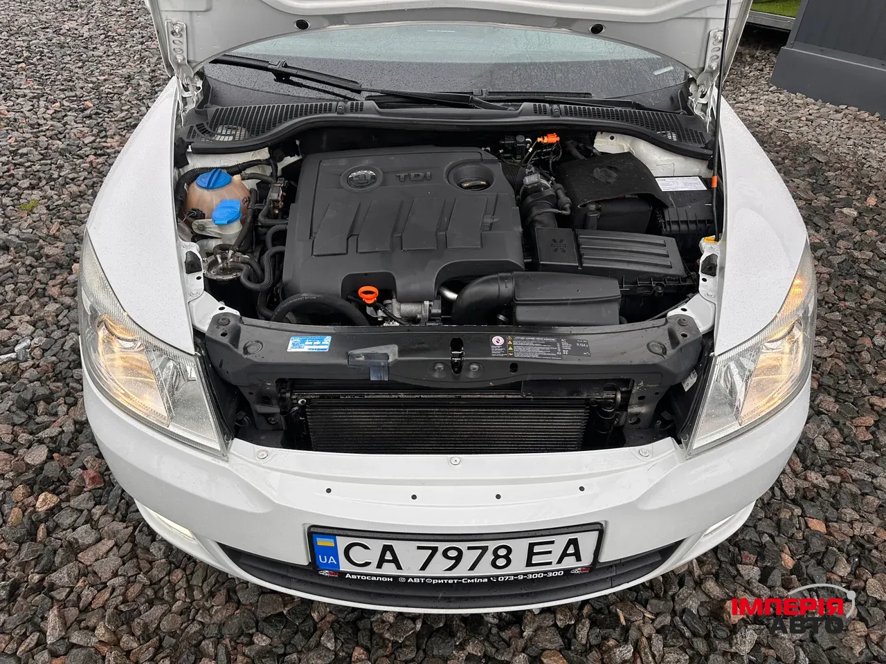 Skoda Octavia - фото 4
