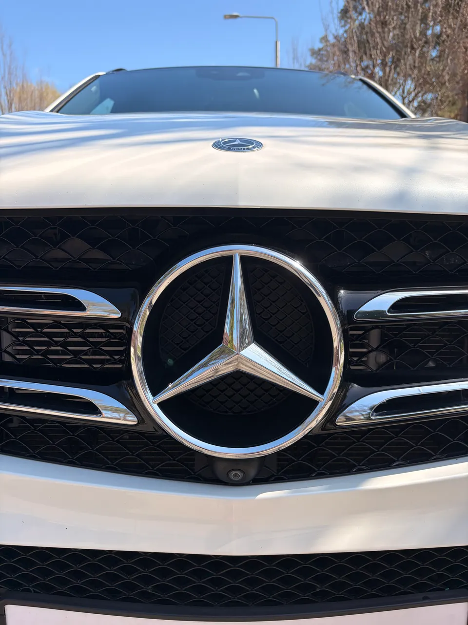 Mercedes-Benz GLE - фото 6