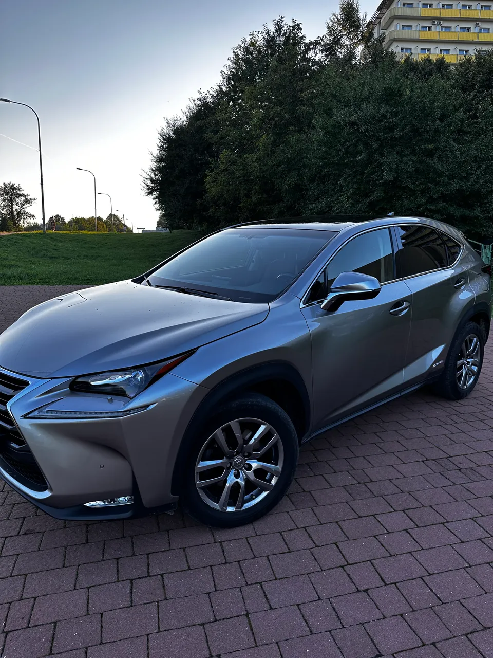 Lexus NX - фото 1