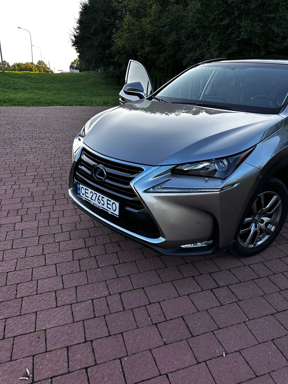 Lexus NX - фото 17