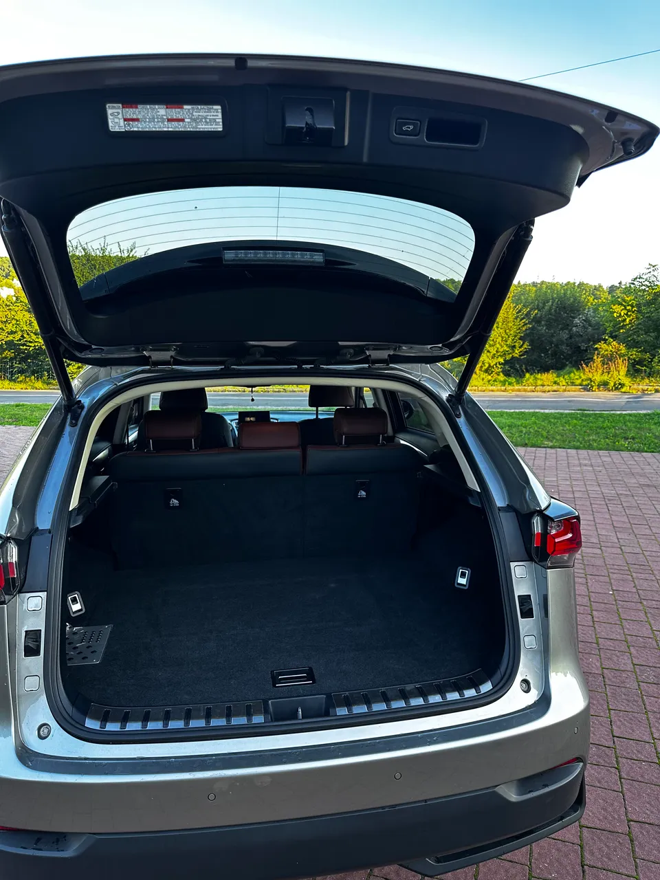 Lexus NX - фото 10