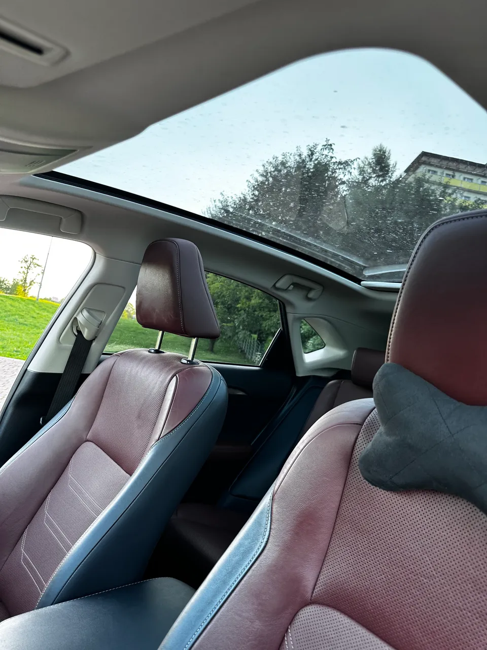 Lexus NX - фото 13