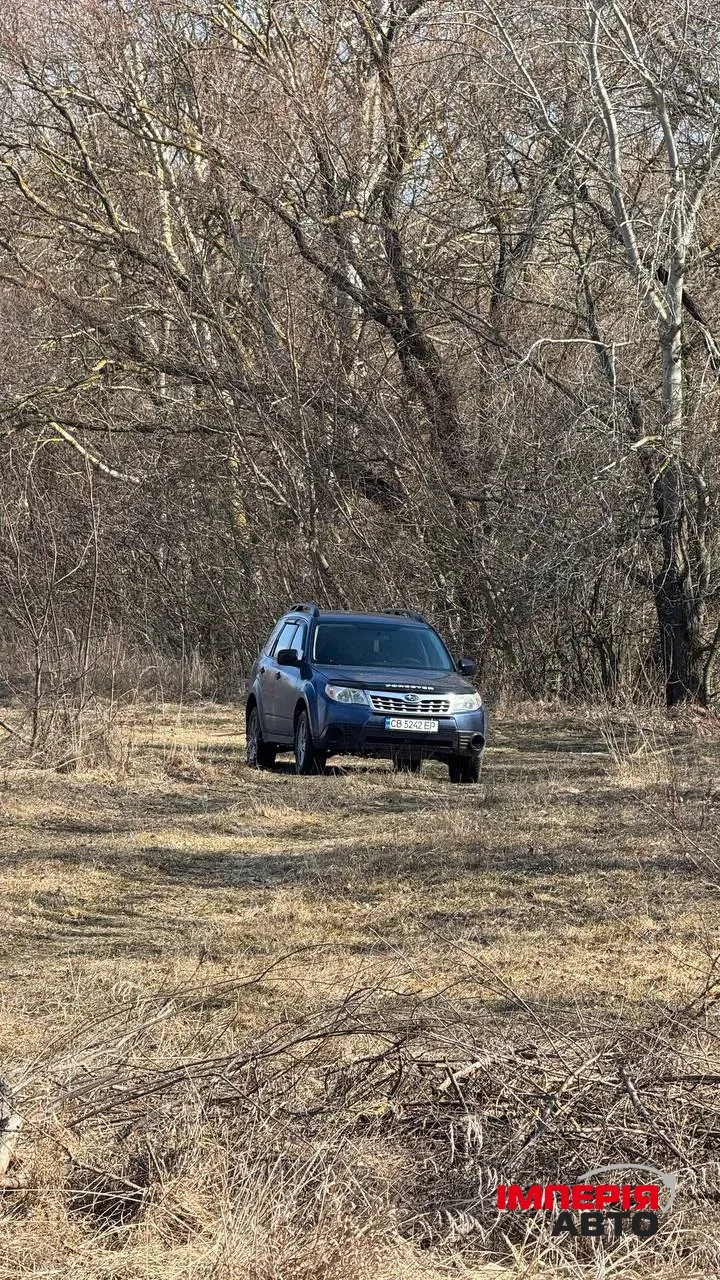 Subaru Forester - фото 1
