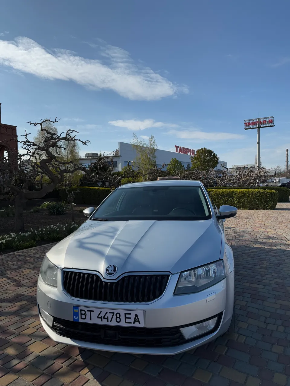 Skoda Octavia - фото 1