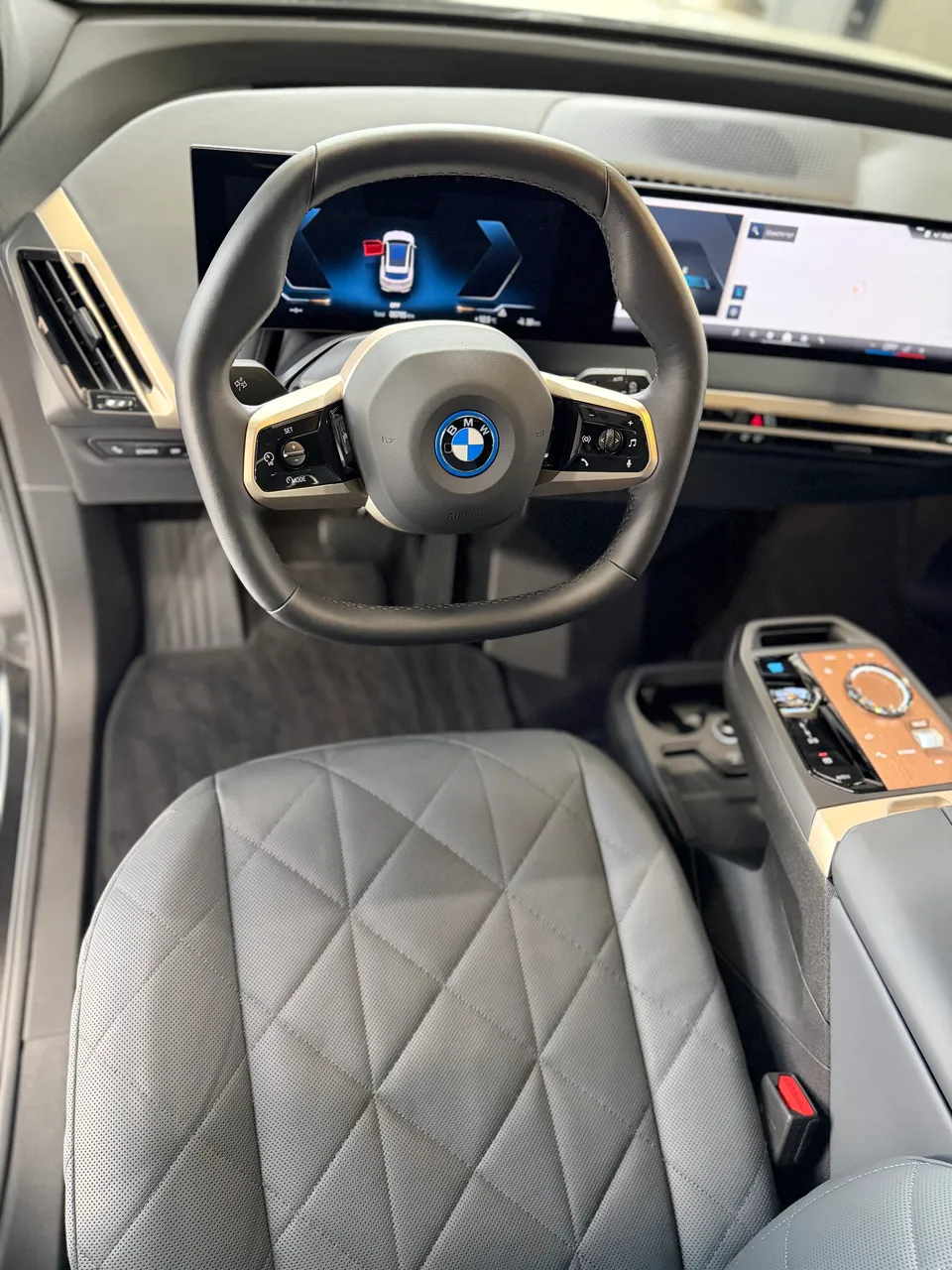 BMW iX - фото 24