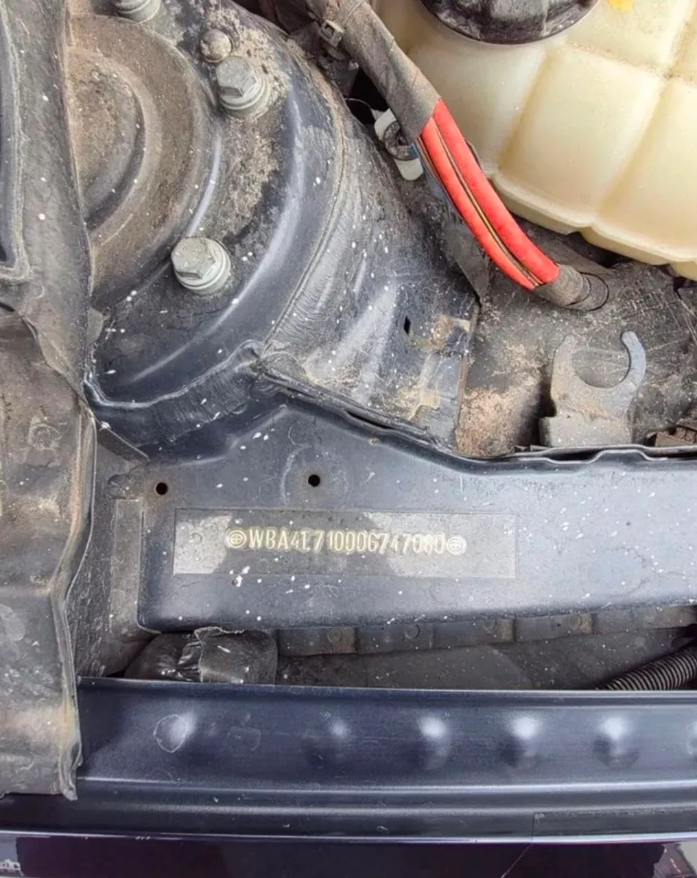 BMW 4 серії - фото 9