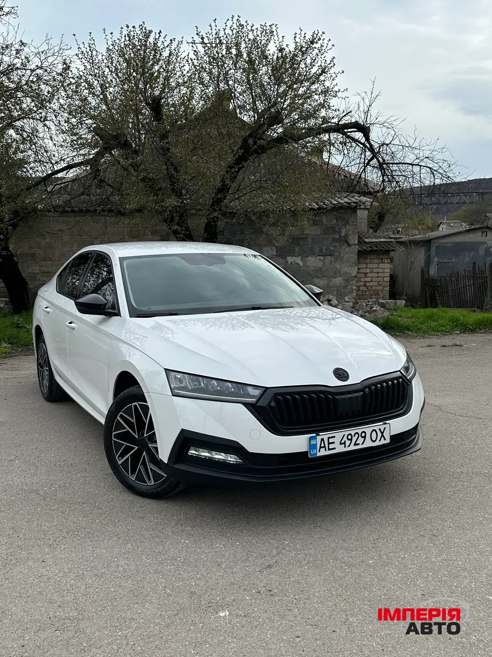 Skoda Octavia - фото 1