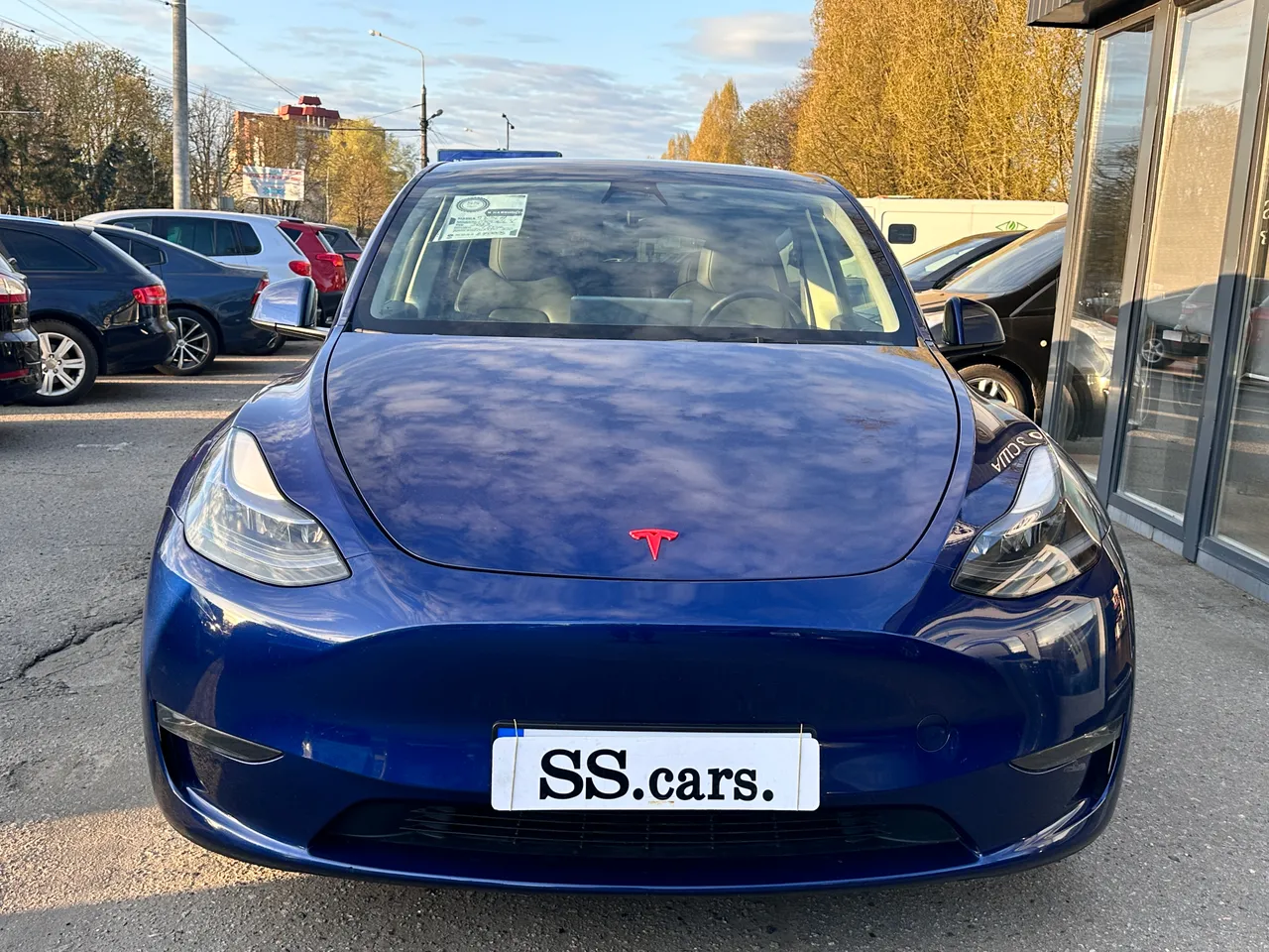 Tesla Model Y - фото 9