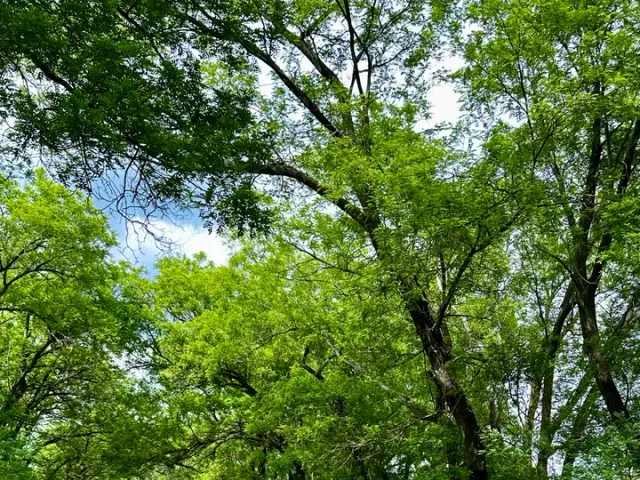 Ford Fusion USA - фото 3