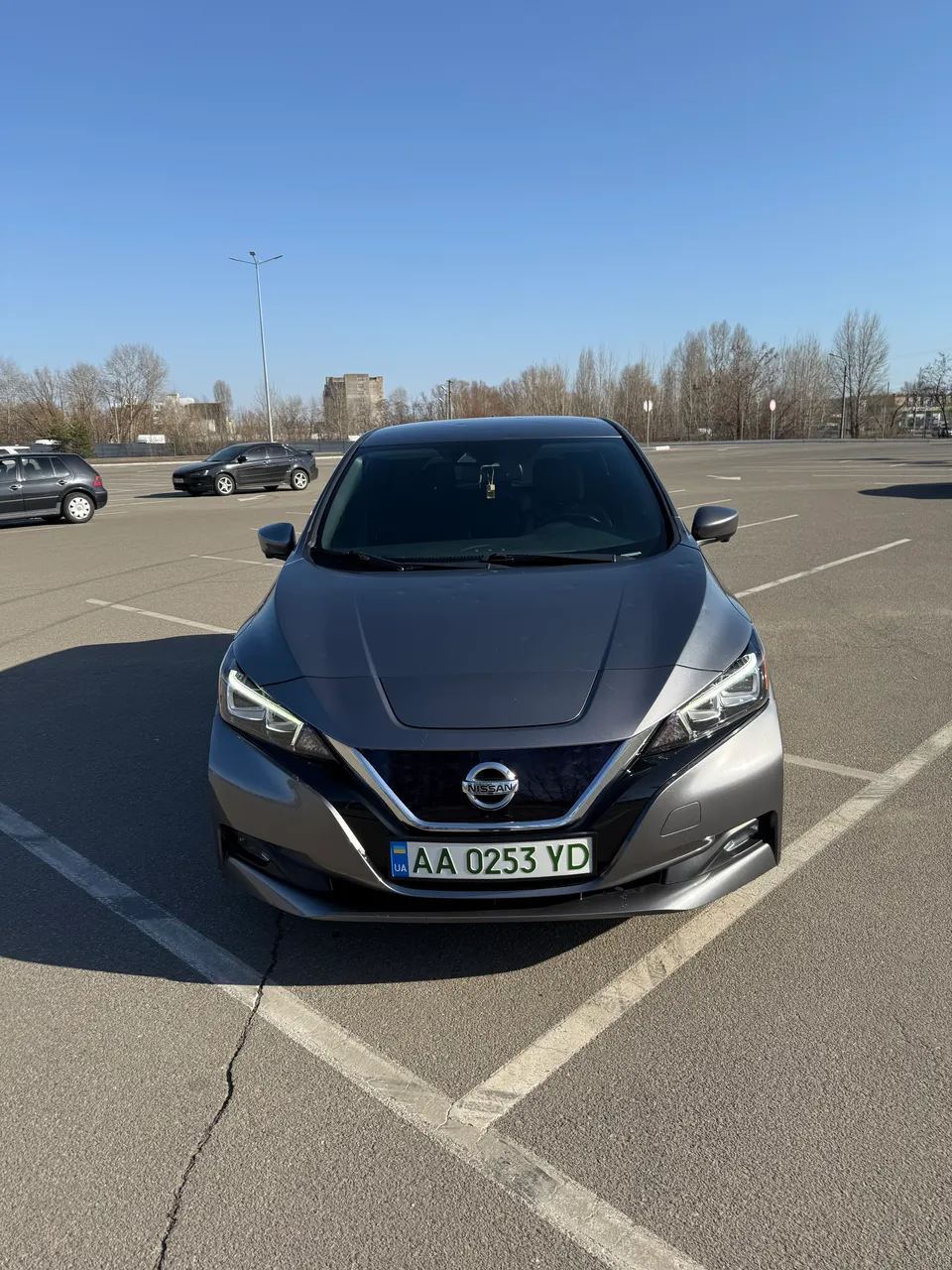 Nissan Leaf - фото 1