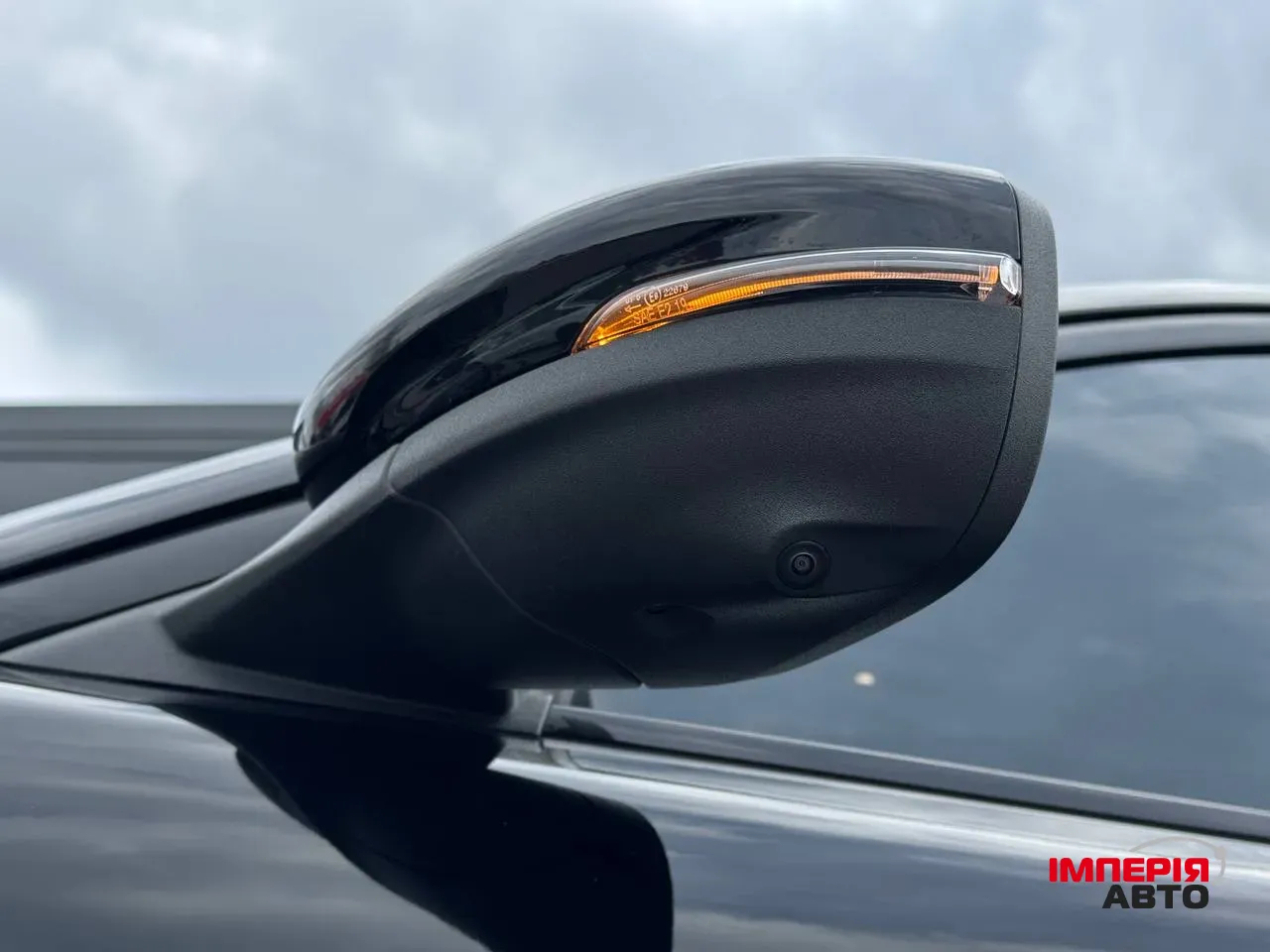 Ford Mustang Mach-E - фото 23