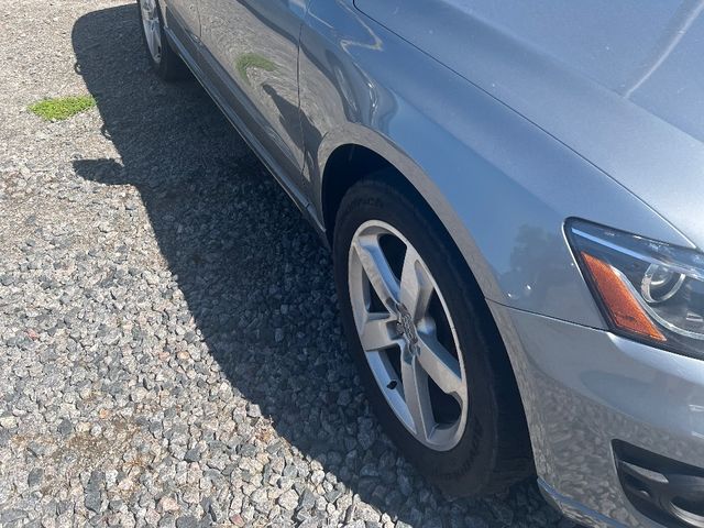 Audi Q5 - фото 4