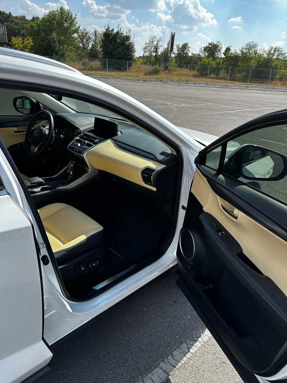 Lexus NX - фото 27