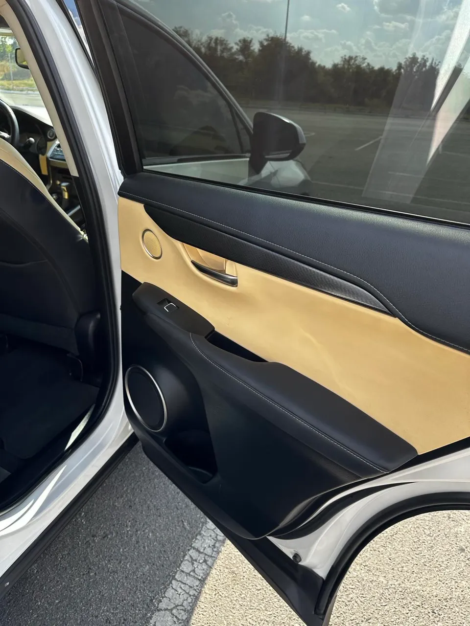 Lexus NX - фото 25