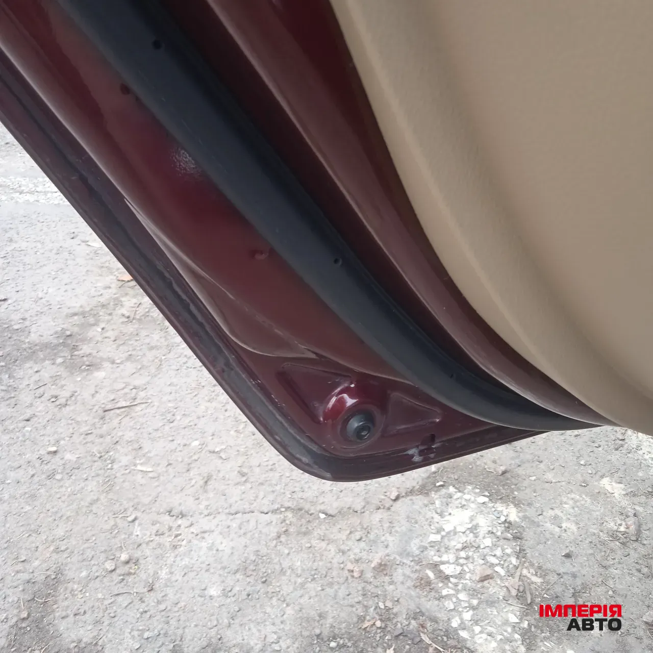 Honda Accord - фото 13