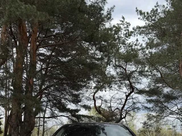 BMW 5 серії - фото 2