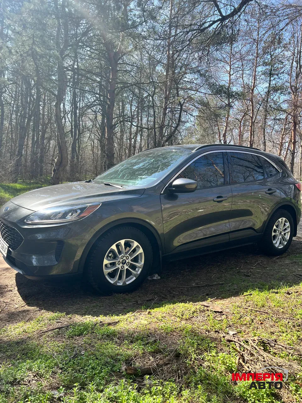 Ford Escape - фото 2