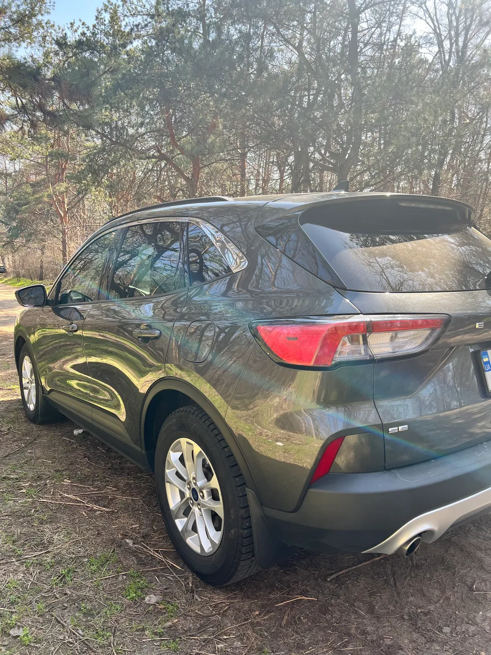 Ford Escape - фото 3