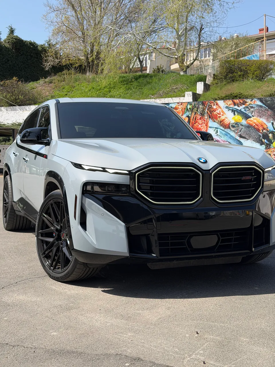 BMW XM - фото 5