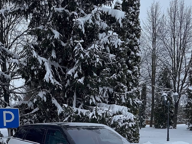 Land Rover Range Rover Evoque - фото 5