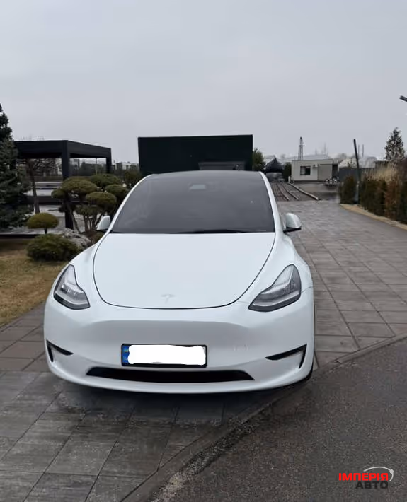 Tesla Model Y - фото 1