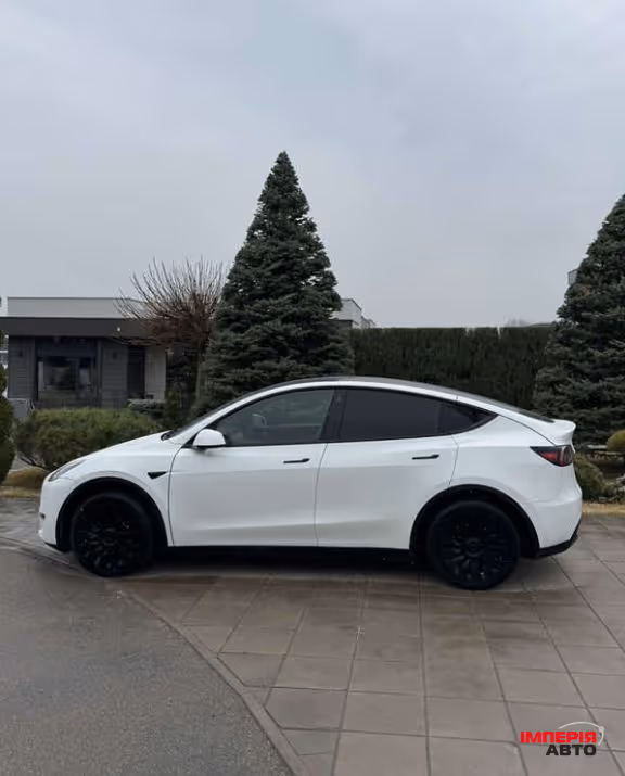 Tesla Model Y - фото 4